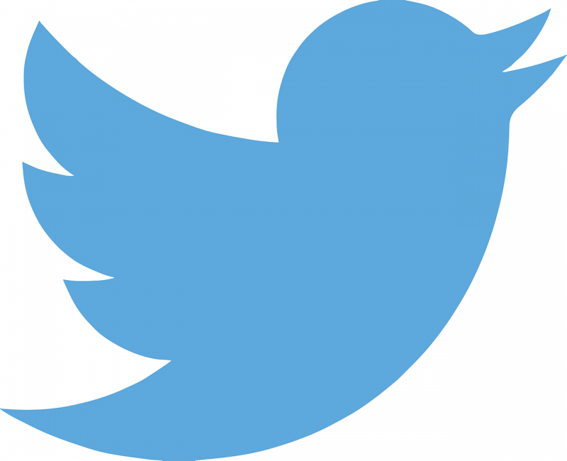 Twitter logo blue bird